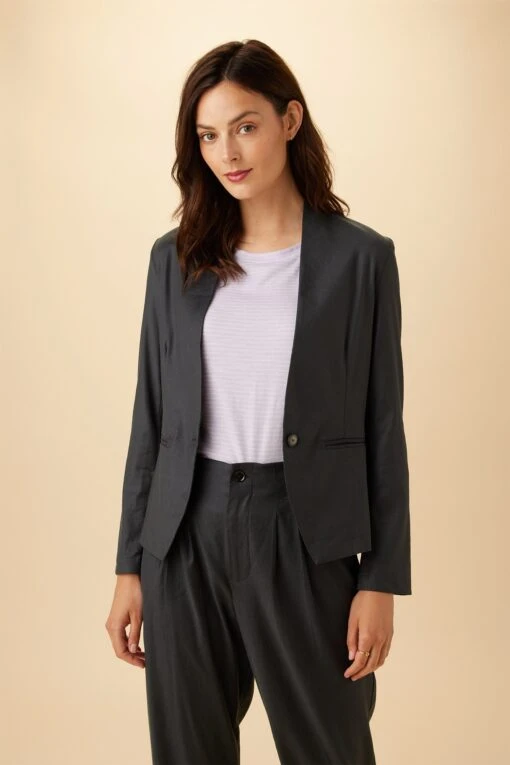 Meredith Femme Fête Blazer - Pewter -AGOLDE Style 03 7930 Meredith Pewter 1