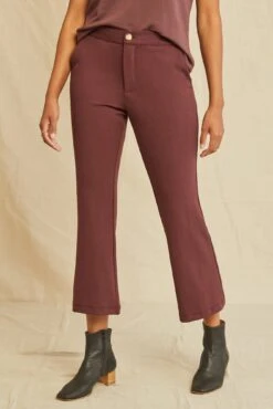 Beatrice Cropped Flare Pant -AGOLDE Style 0429 Beatrice Cropped Flare Mocha 3130 web