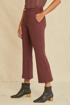 Beatrice Cropped Flare Pant -AGOLDE Style 0429 Beatrice Cropped Flare Mocha 3167 web
