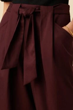Anissa Tencel Twill Pant - Wine 9 Anissa Tencel Twill Pant - Wine -AGOLDE Style 4104R1 Anissa Tencel Wine 5