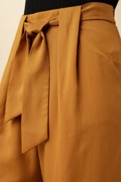 Eldora Tencel Wide Leg Pant - Camel -AGOLDE Style 9360 Eldora Tencel Camel 5